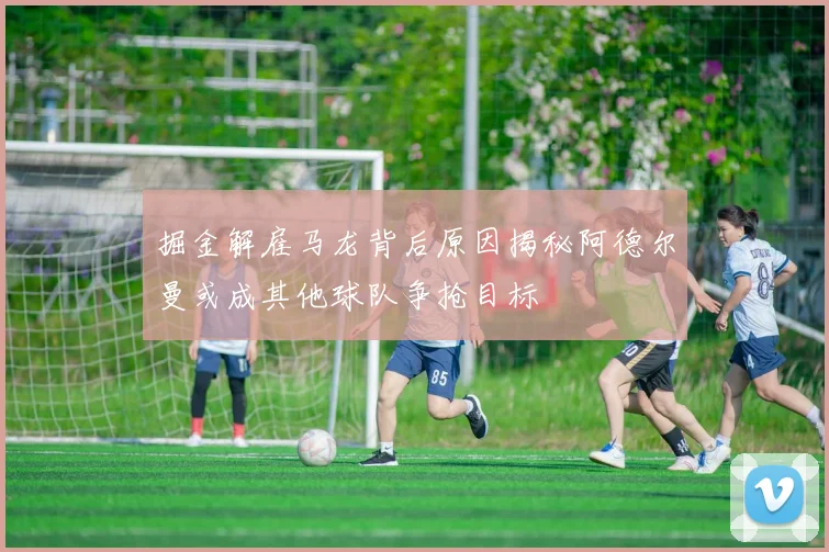 掘金解雇马龙背后原因揭秘阿德尔曼或成其他球队争抢目标
