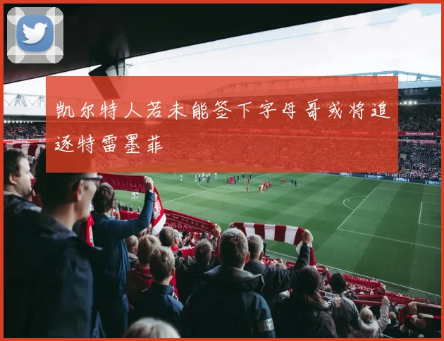 凯尔特人若未能签下字母哥或将追逐特雷墨菲